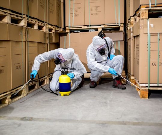 Fumigation and pest control services for Zimbabwe properties